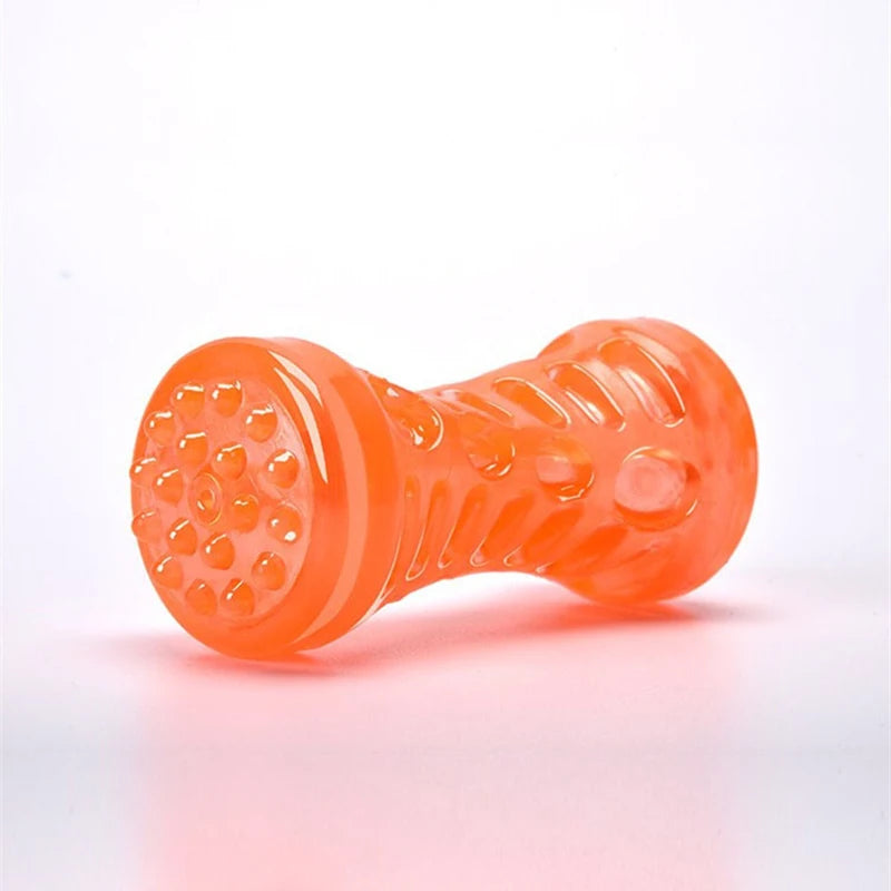 Interactive Dog Teething Toy, Squeaky Chew Toy
