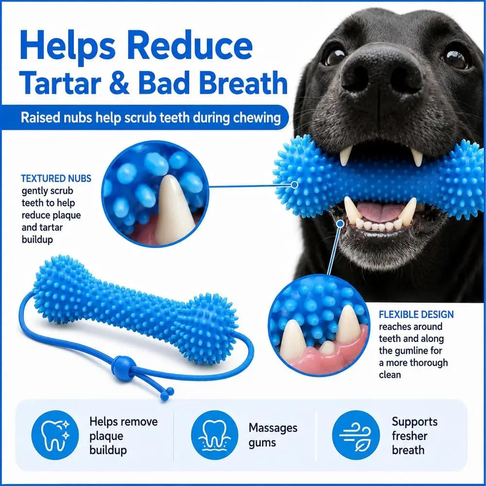 Rubber Dog Chew Toy