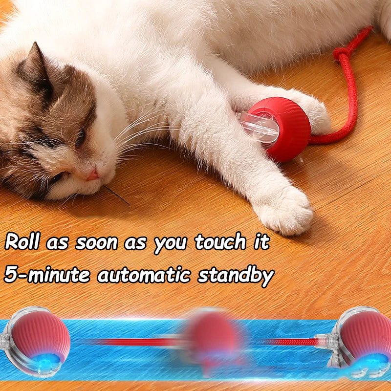 Automatic Interactive Cat Ball Toy | Rechargeable