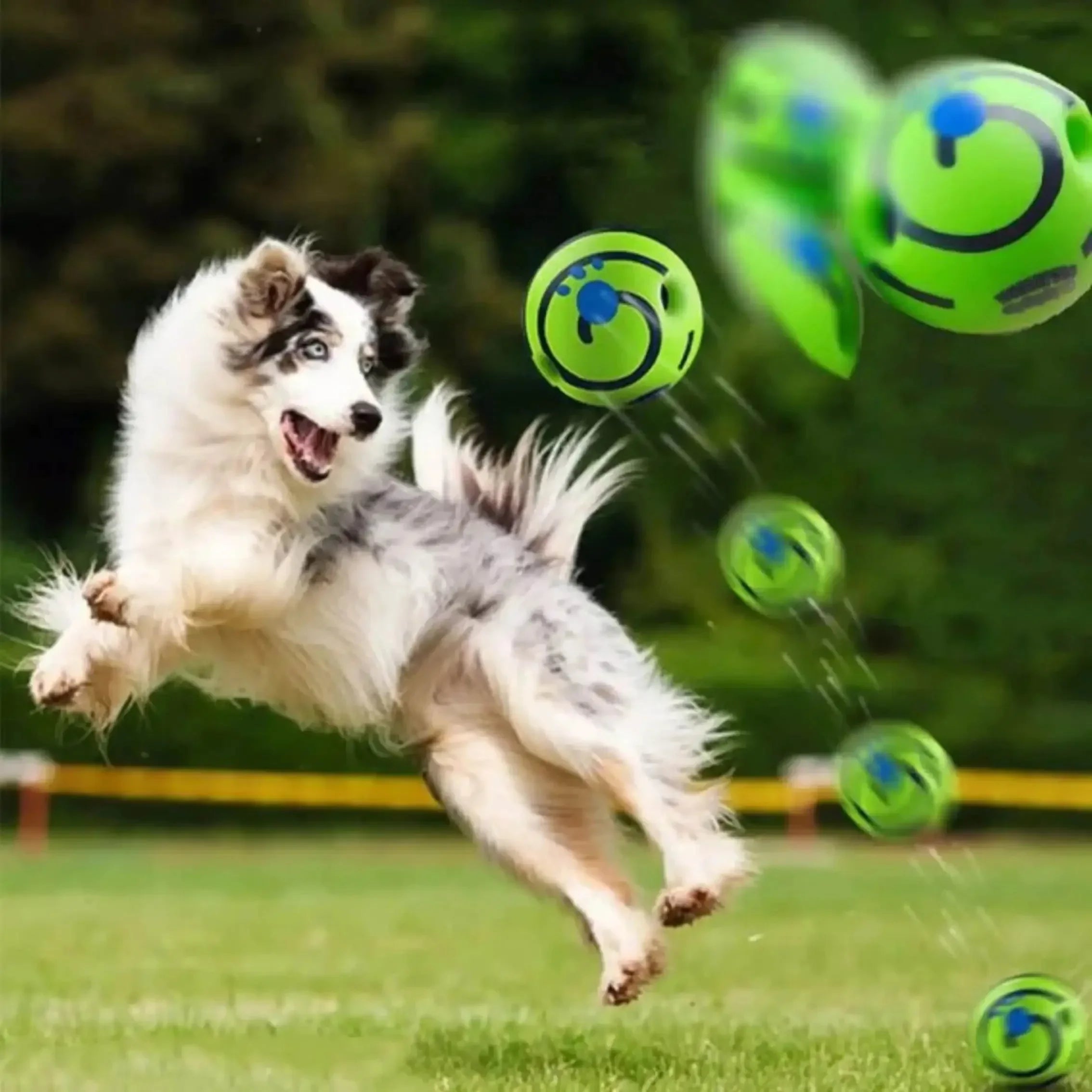 Vinyl Sounding Dog Ball