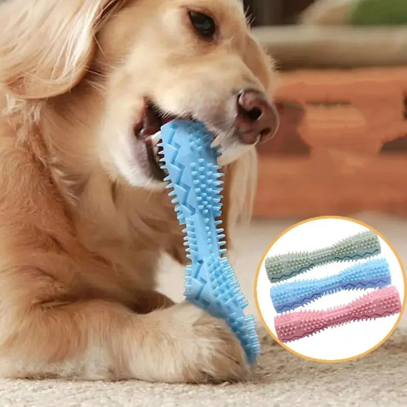 TPR Dog Teething & Treat Toy