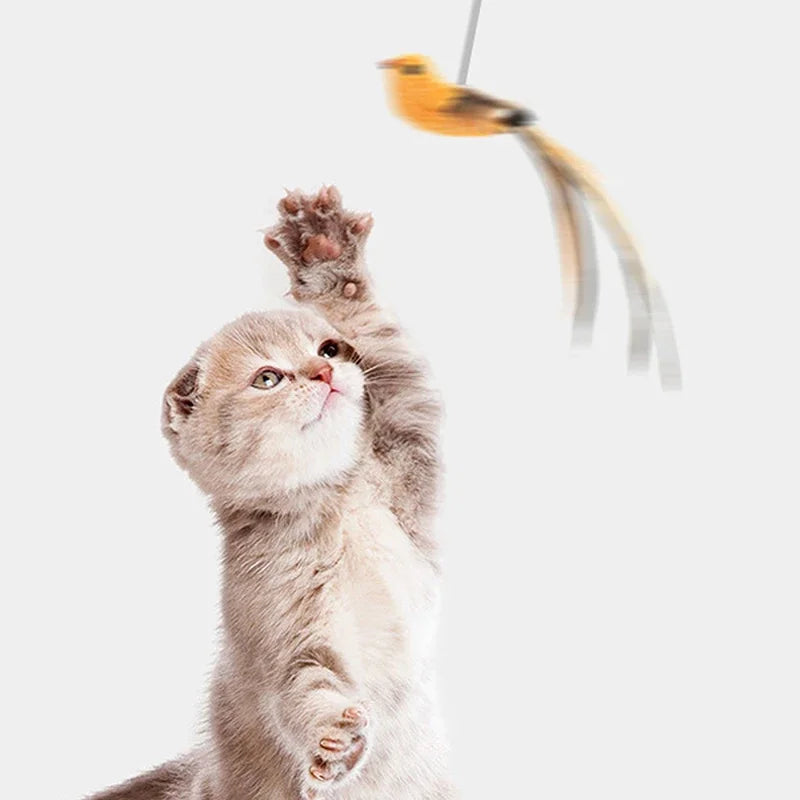 Interactive Feather Bird Cat Toy with Suction Cup