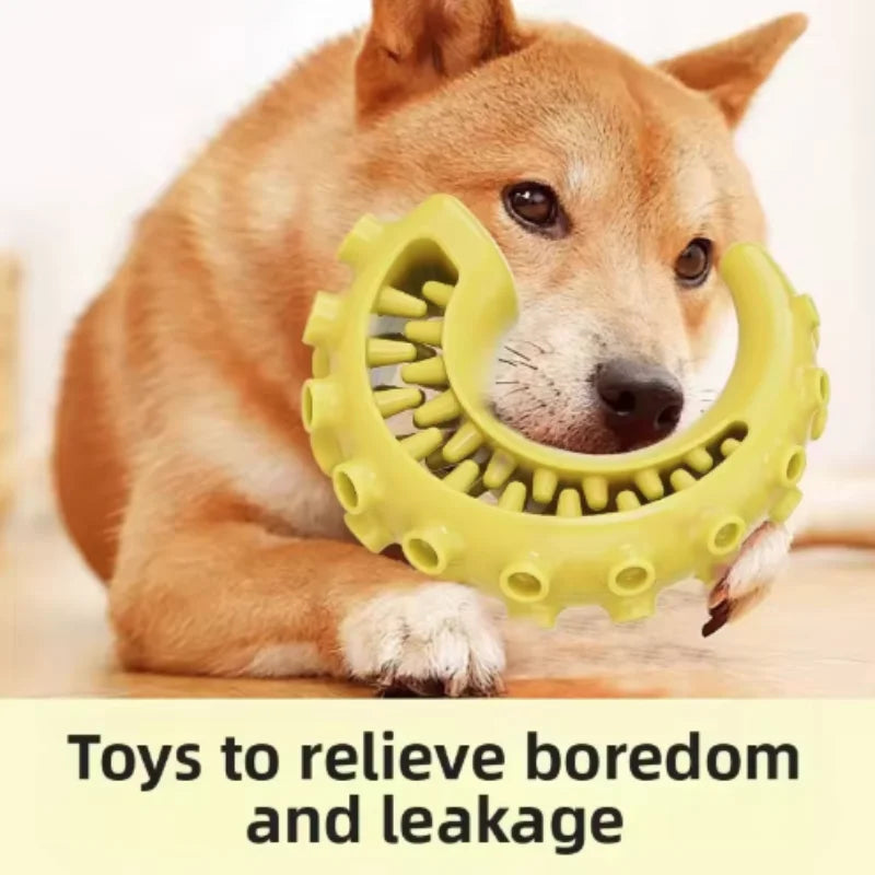 TPR Dog Teething & Treat Toy