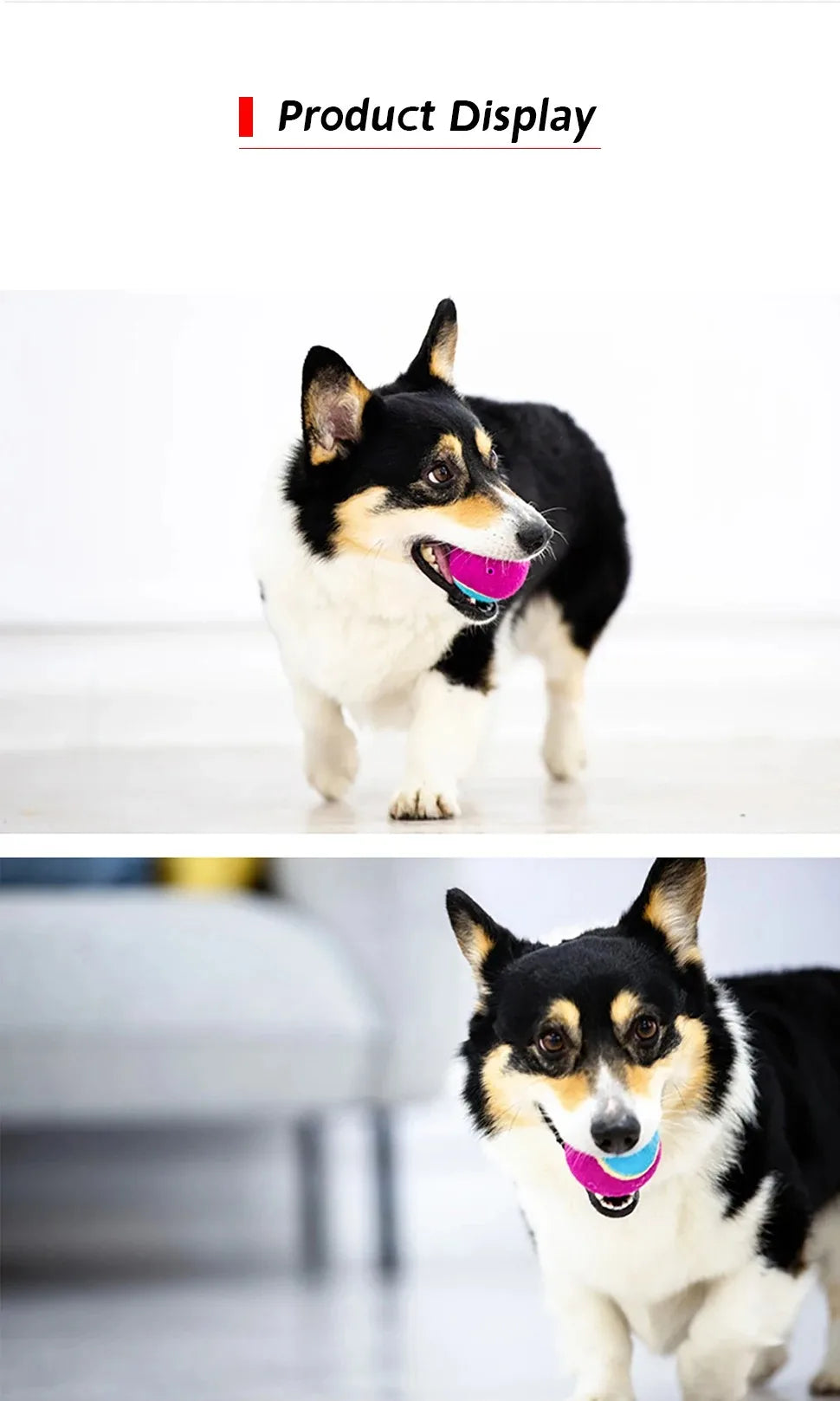 Rubber Squeaky Dog Ball