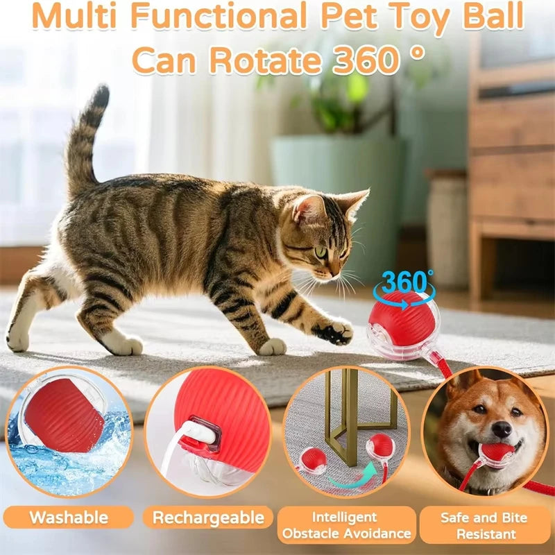 Automatic Interactive Cat Ball Toy | Rechargeable