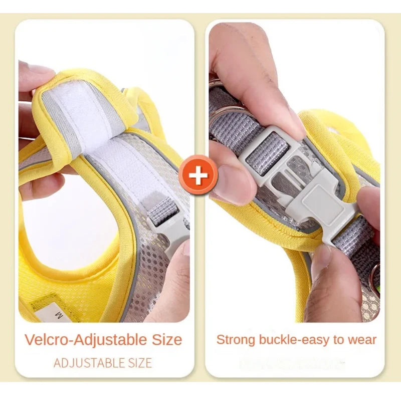 Reflective Mesh Pet Harness Set