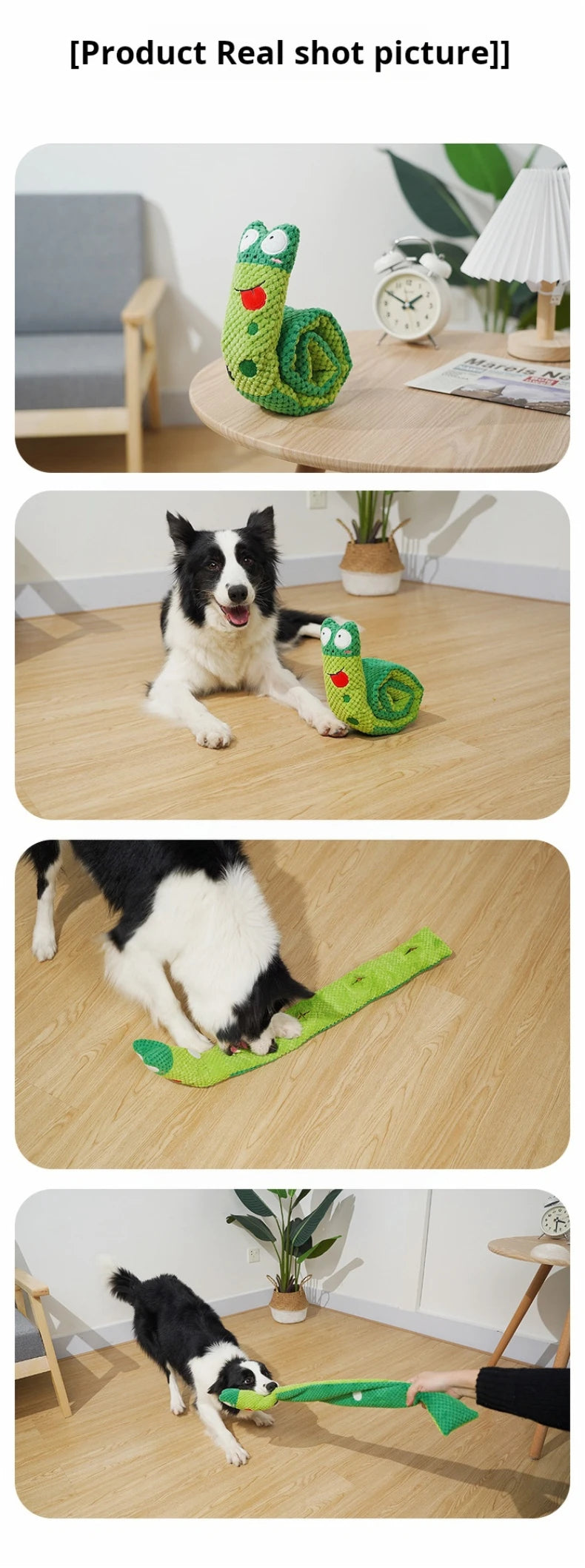 Frog Squeaky Dog Toy