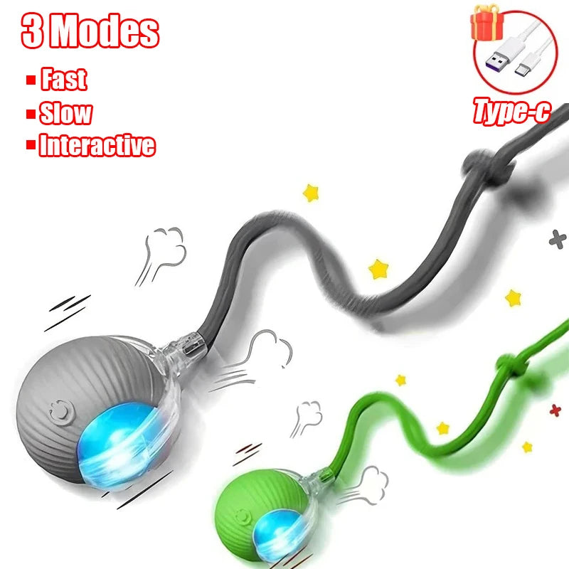 Automatic Interactive Cat Ball Toy | Rechargeable