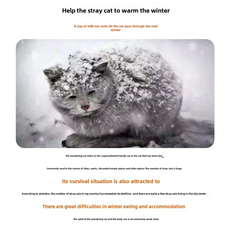 Waterproof Outdoor Cat House Warm Foldable Pet Shelter for Winter Cats