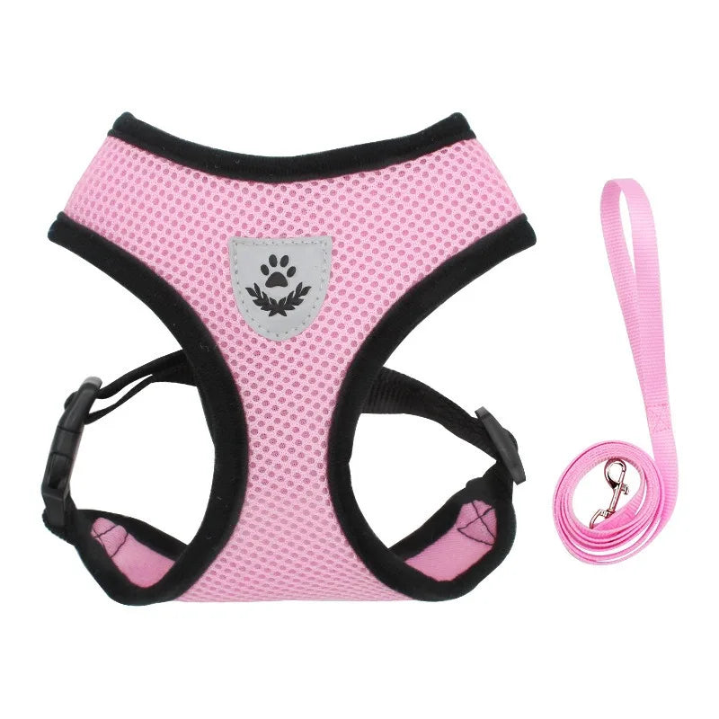 Escape-Proof Reflective Cat Harness & Leash Set