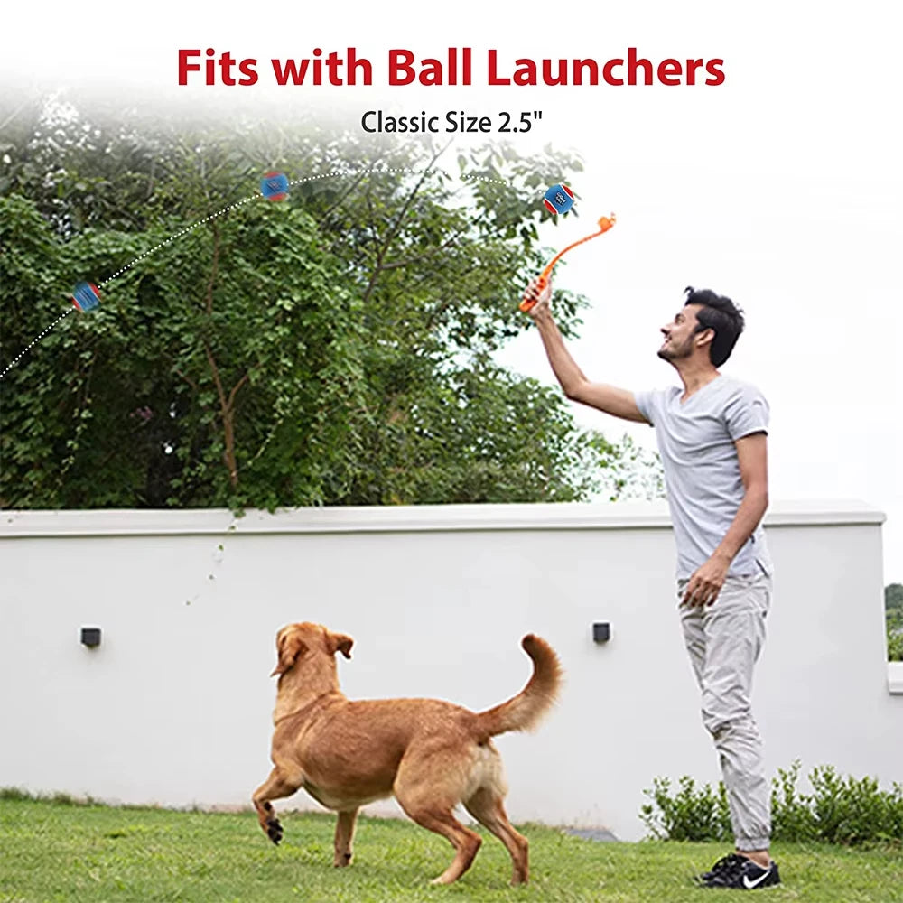 Rubber Squeaky Dog Ball