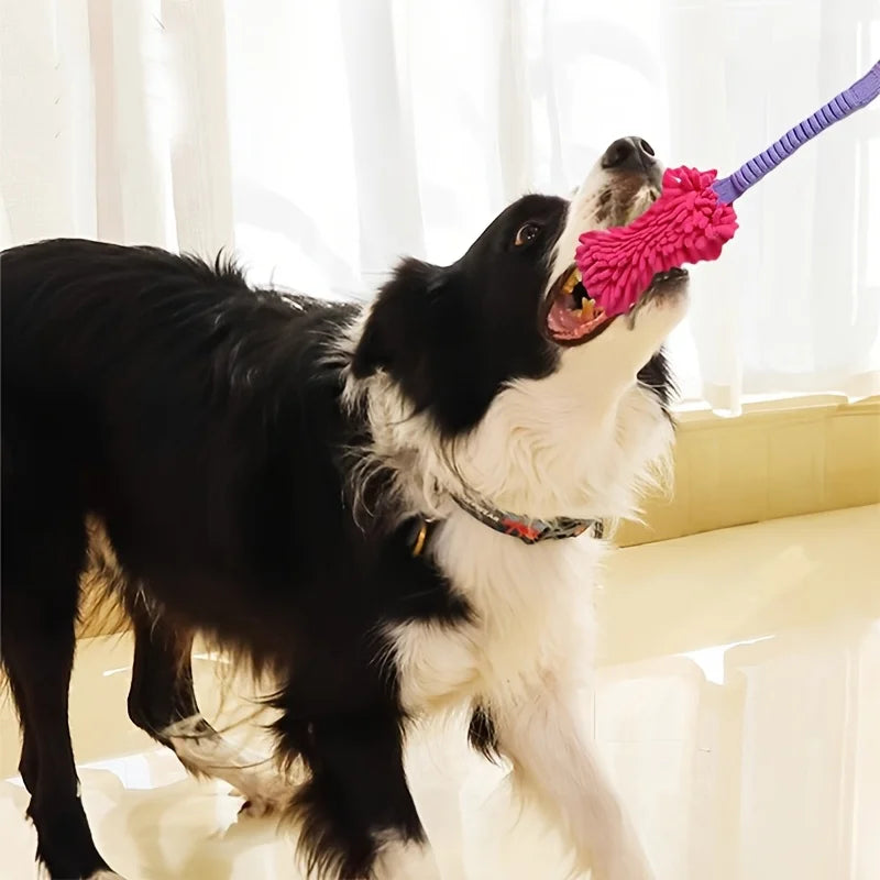 Durable Dog Chew Toy, Teeth Cleaning Toy