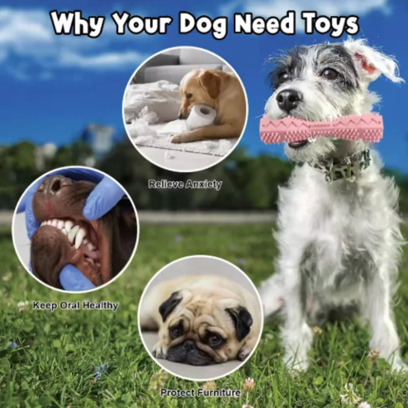 TPR Dog Teething & Treat Toy