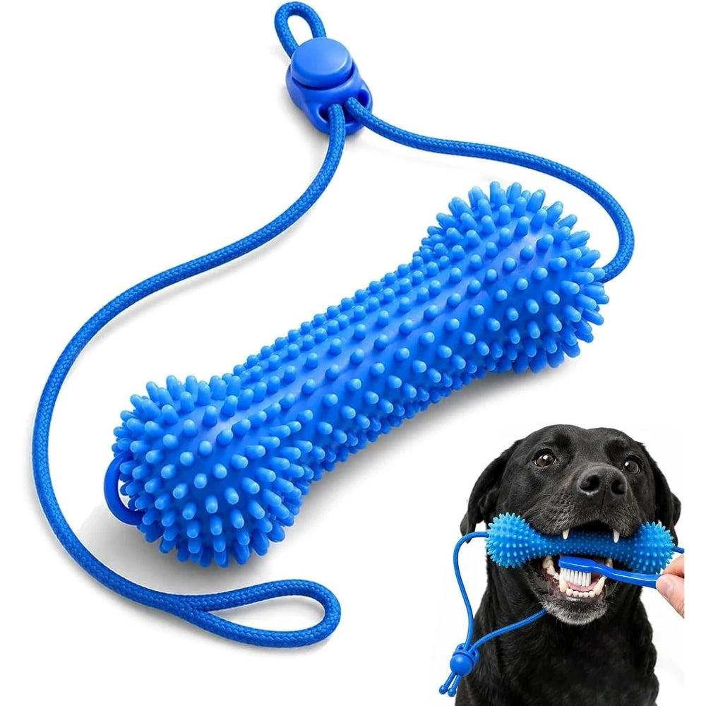 Rubber Dog Chew Toy