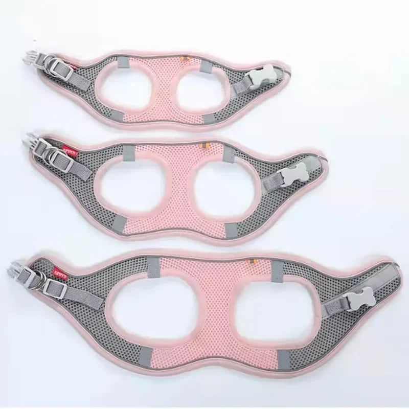 Reflective Mesh Pet Harness Set