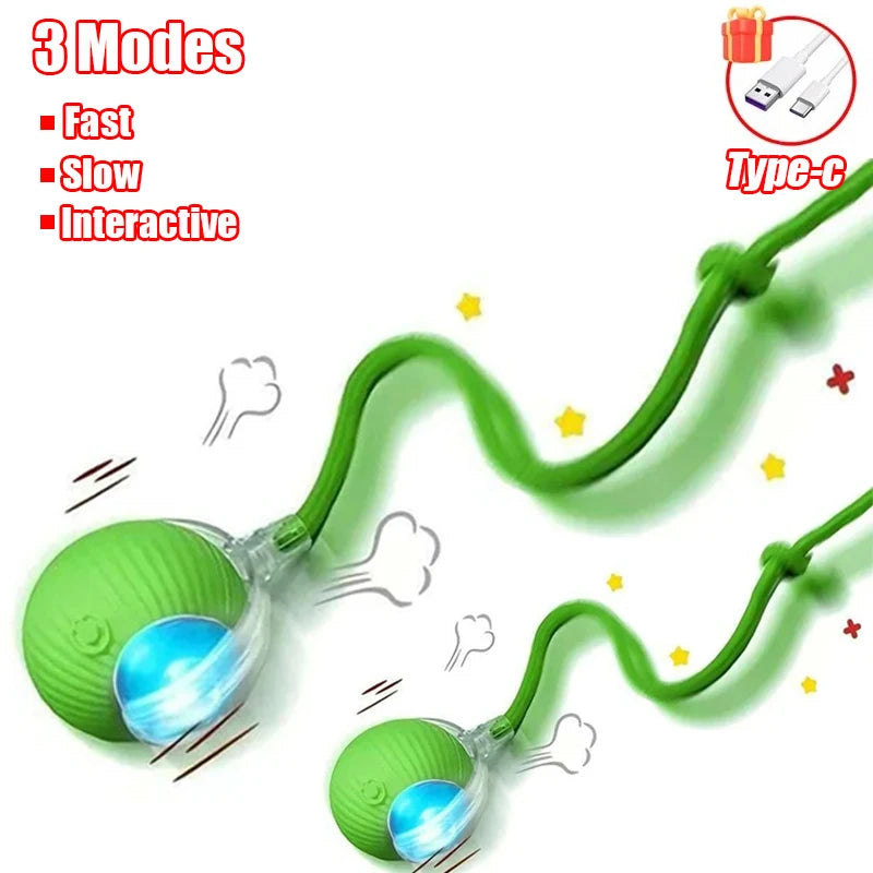 Automatic Interactive Cat Ball Toy | Rechargeable