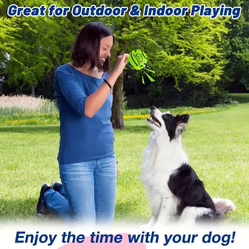 Vinyl Sounding Dog Ball