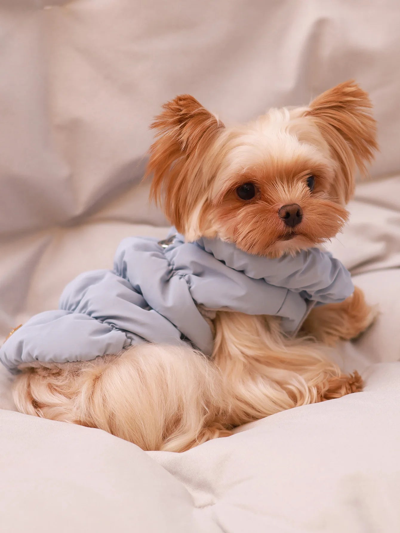Warm Dog Parka Jacket