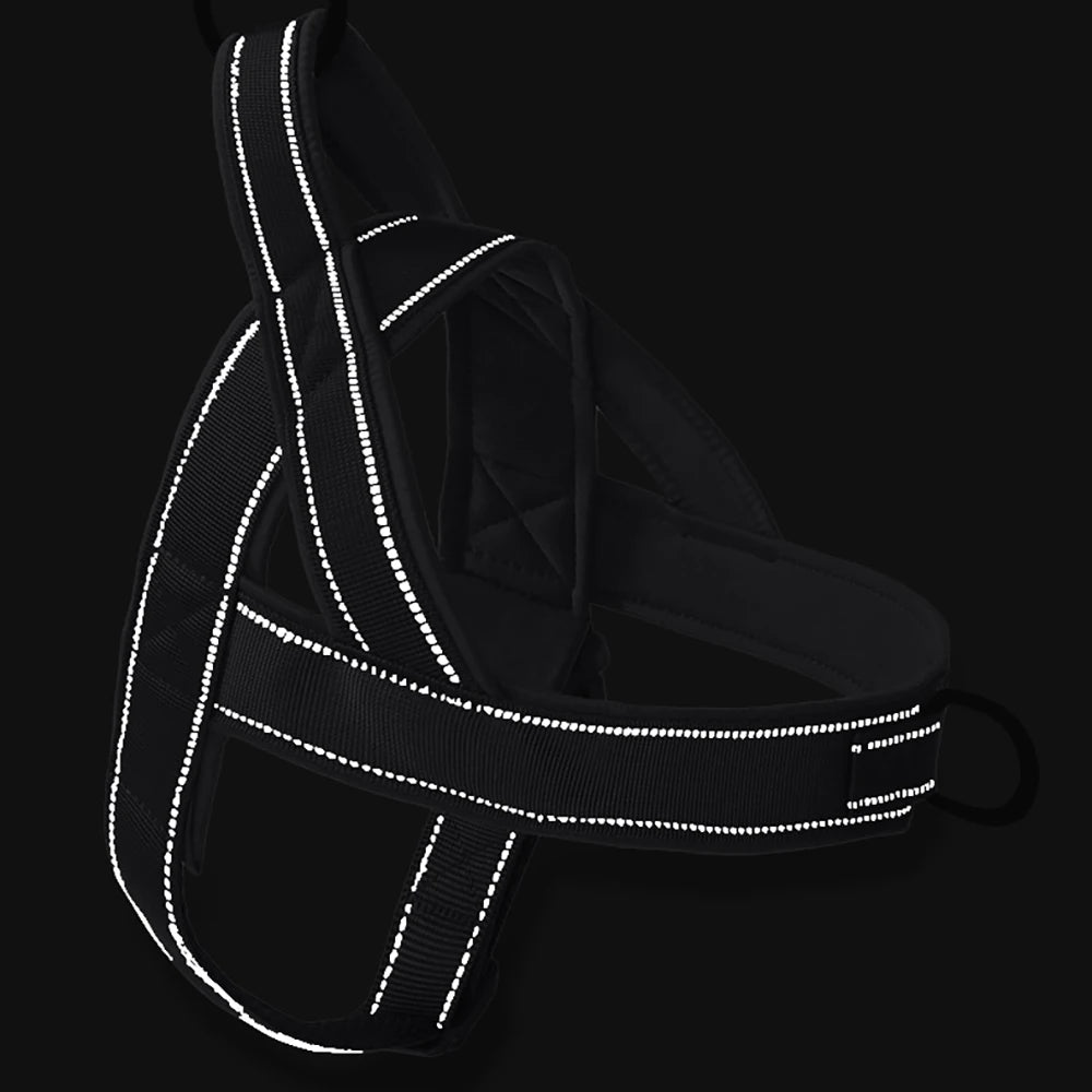 Nylon Dog Vest Harness