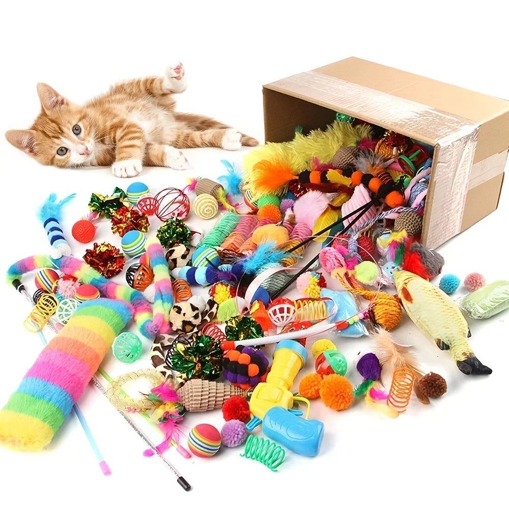 Interactive Spring Cat Toy Set