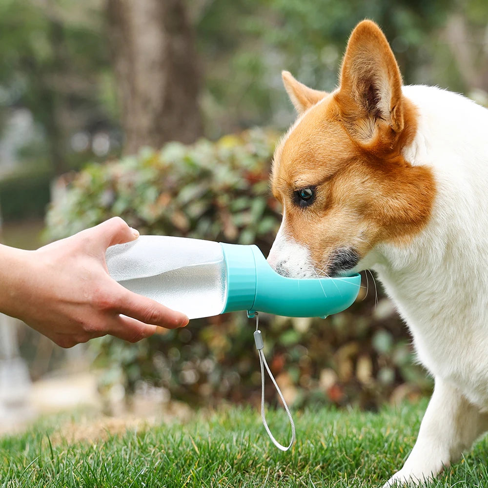 Portable Leak-Proof Dog Water Bottle
