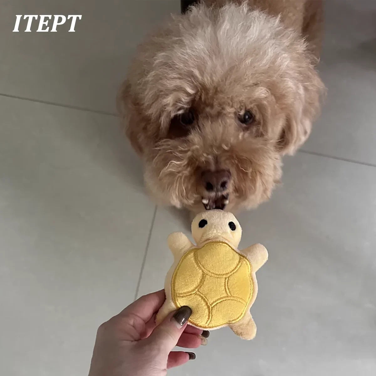 Plush Fleece Dog Toy