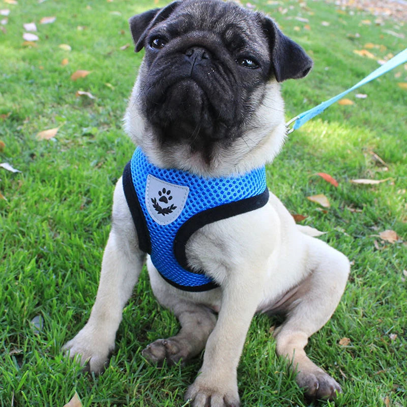 Reflective Soft Pet Harness