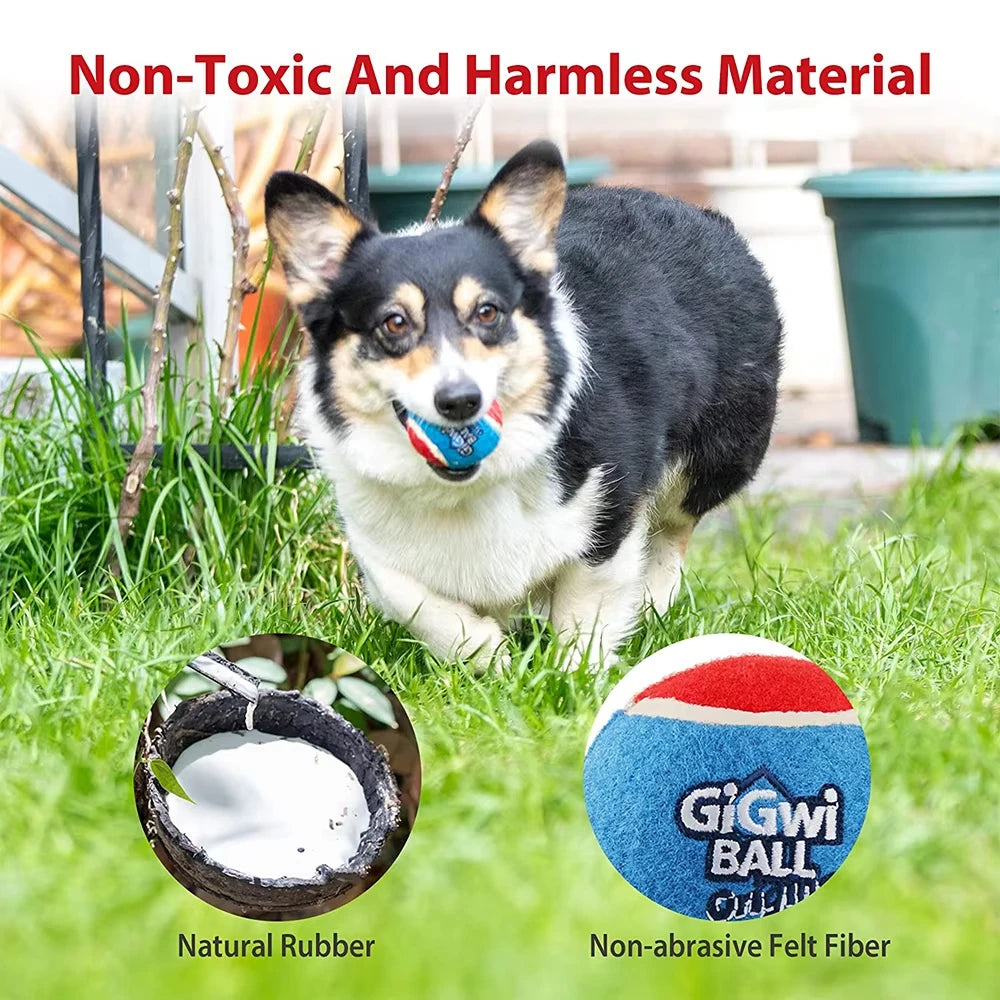 Rubber Squeaky Dog Ball
