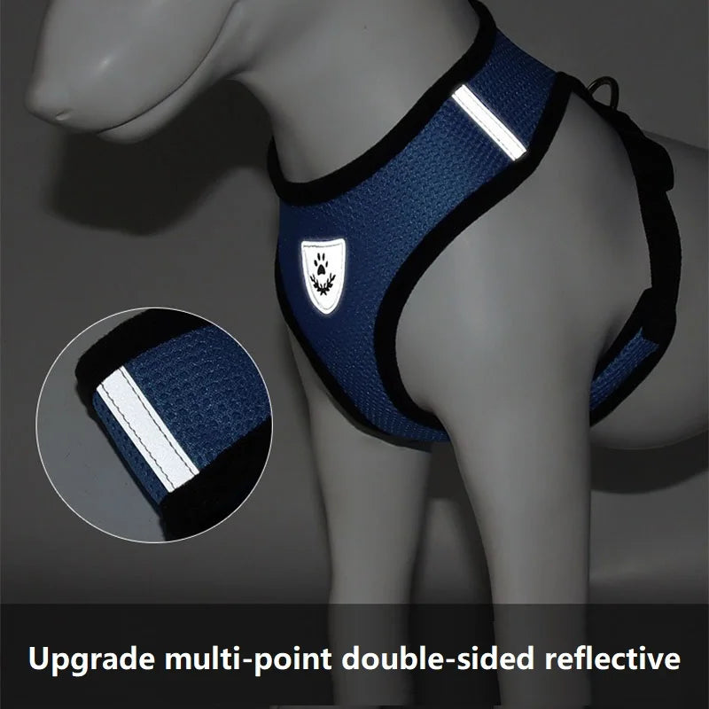 Escape-Proof Reflective Cat Harness & Leash Set