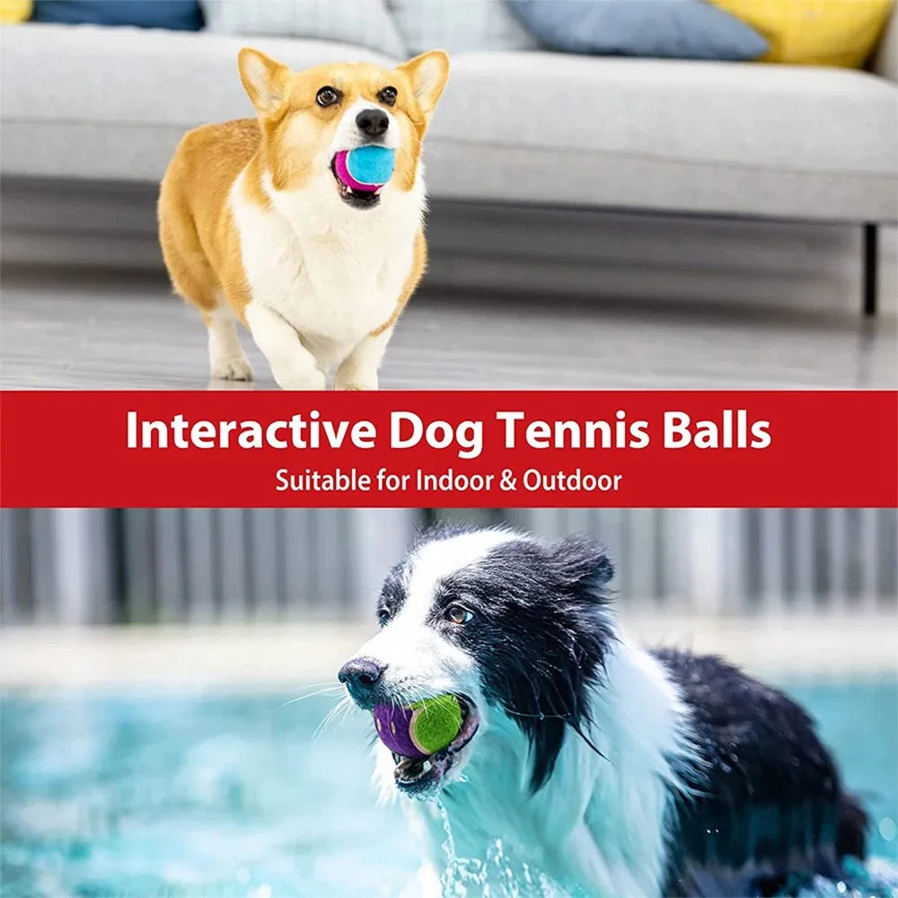 Rubber Squeaky Dog Ball