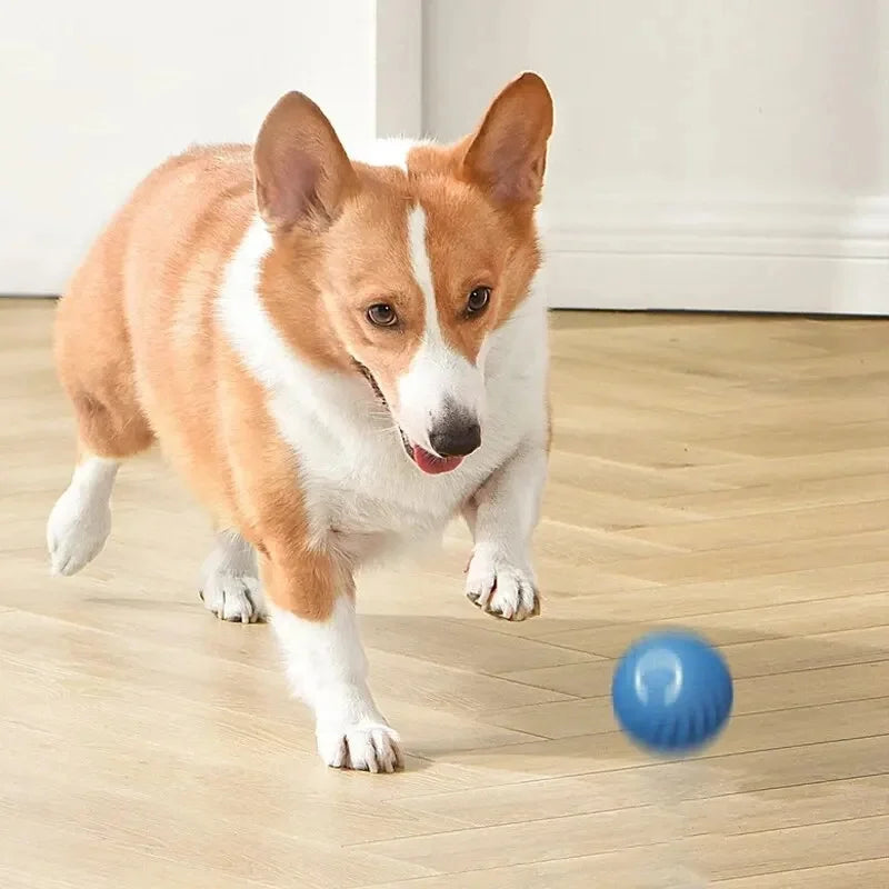 Interactive Automatic Dog Jump Ball