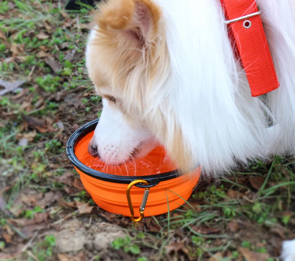 Collapsible Silicone Dog Bowl