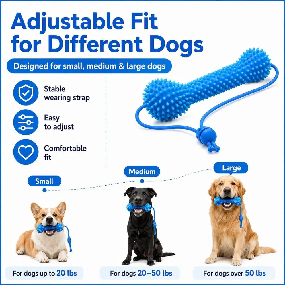 Rubber Dog Chew Toy