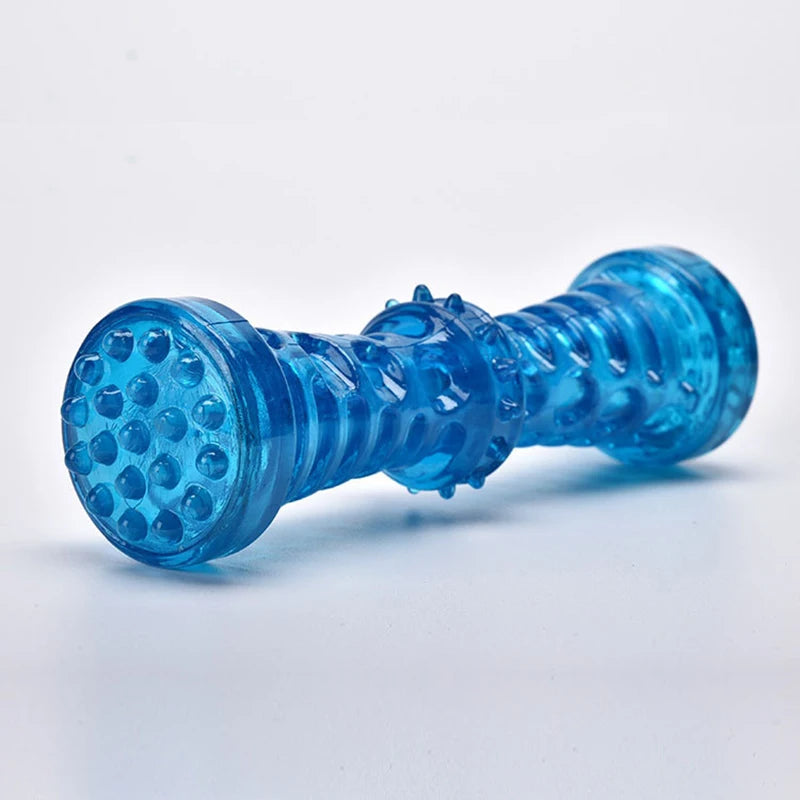 Interactive Dog Teething Toy, Squeaky Chew Toy