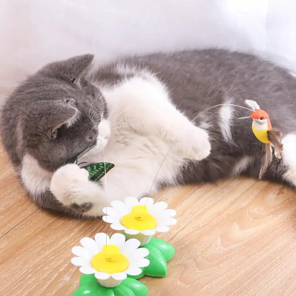 Automatic Rotating Butterfly Cat Toy