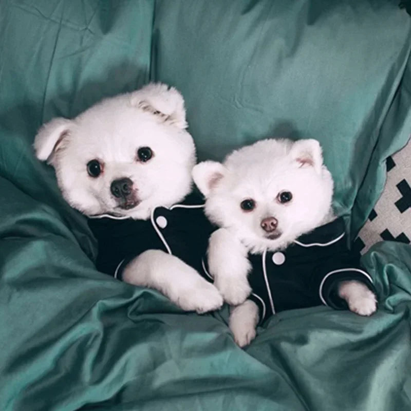 Solid Polyester Pet Clothes