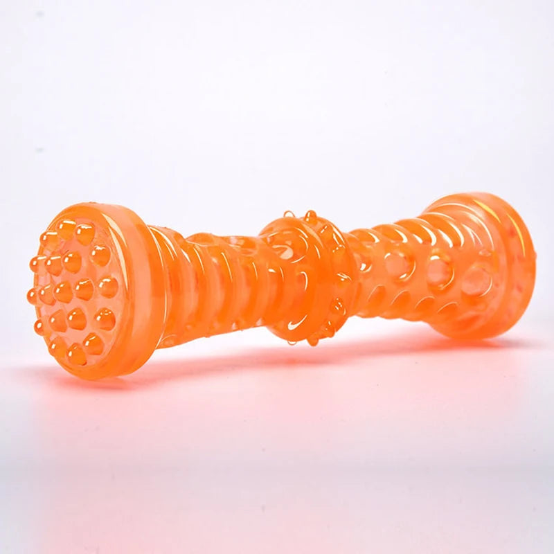 Interactive Dog Teething Toy, Squeaky Chew Toy