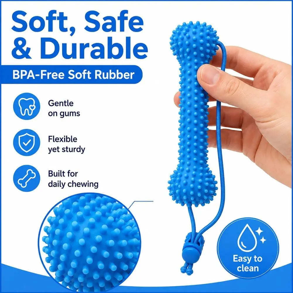 Rubber Dog Chew Toy