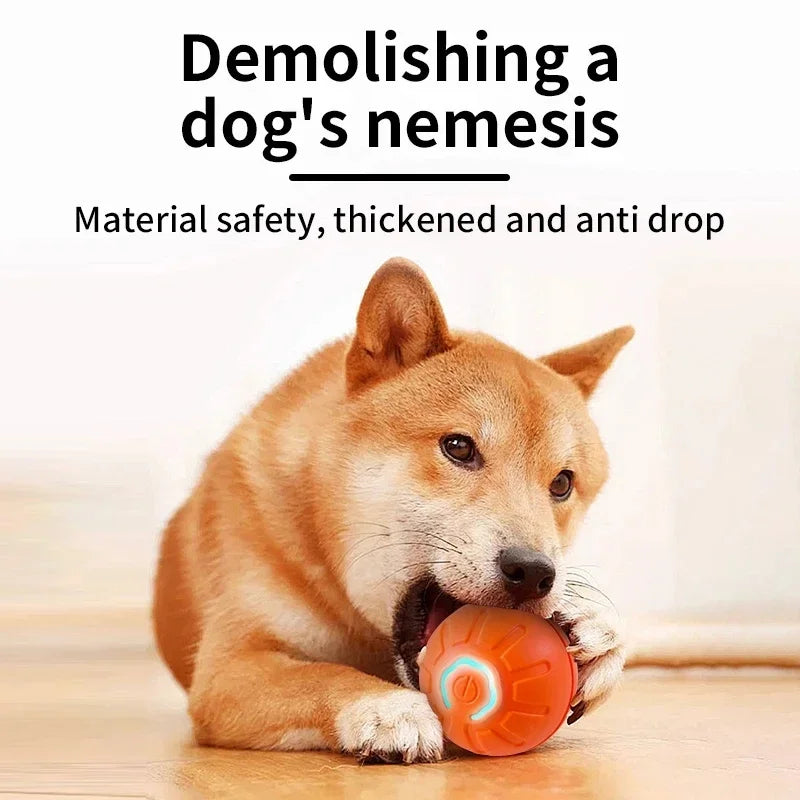 Interactive Automatic Dog Jump Ball