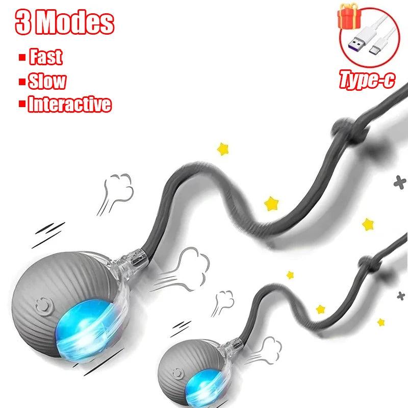 Automatic Interactive Cat Ball Toy | Rechargeable