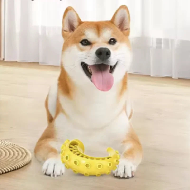 TPR Dog Teething & Treat Toy