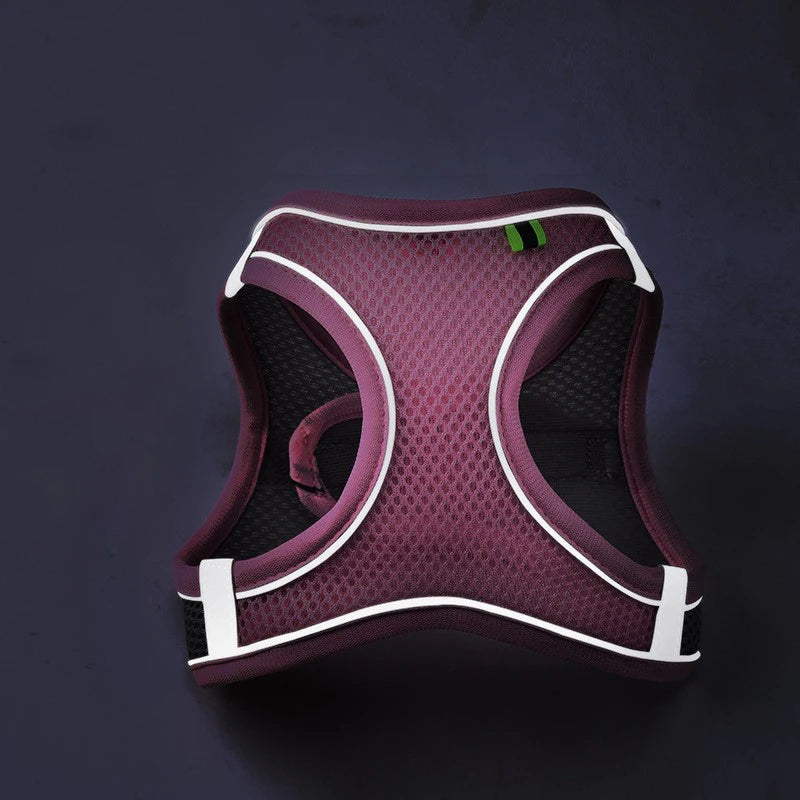 Reflective Mesh Pet Harness Set