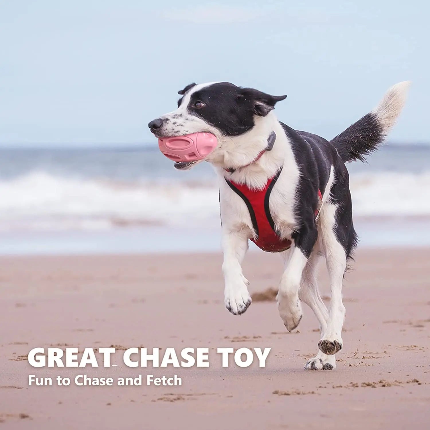 Durable Rubber Squeaky Dog Ball