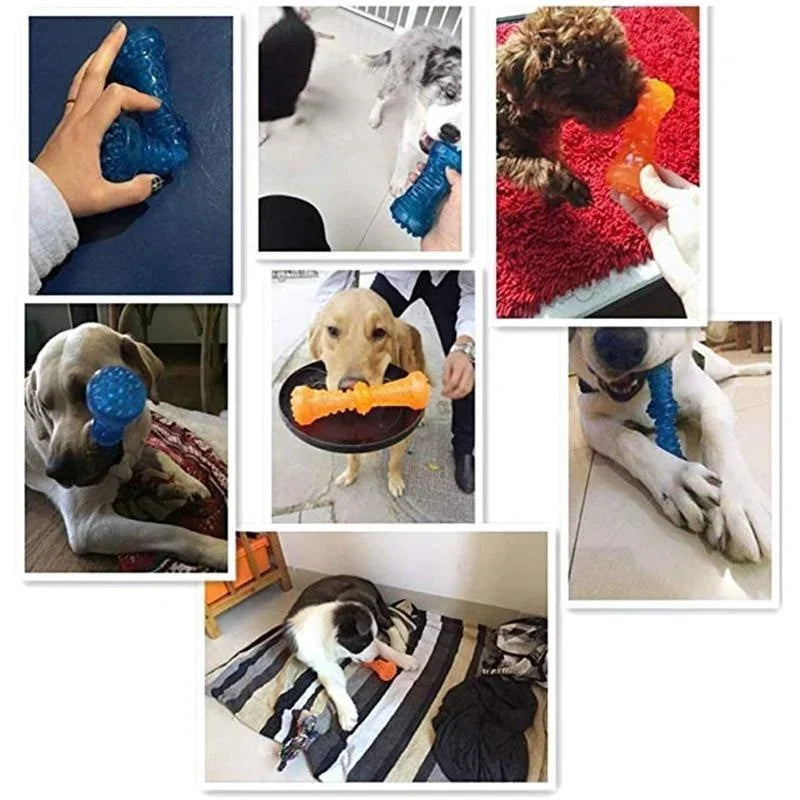 Interactive Dog Teething Toy, Squeaky Chew Toy