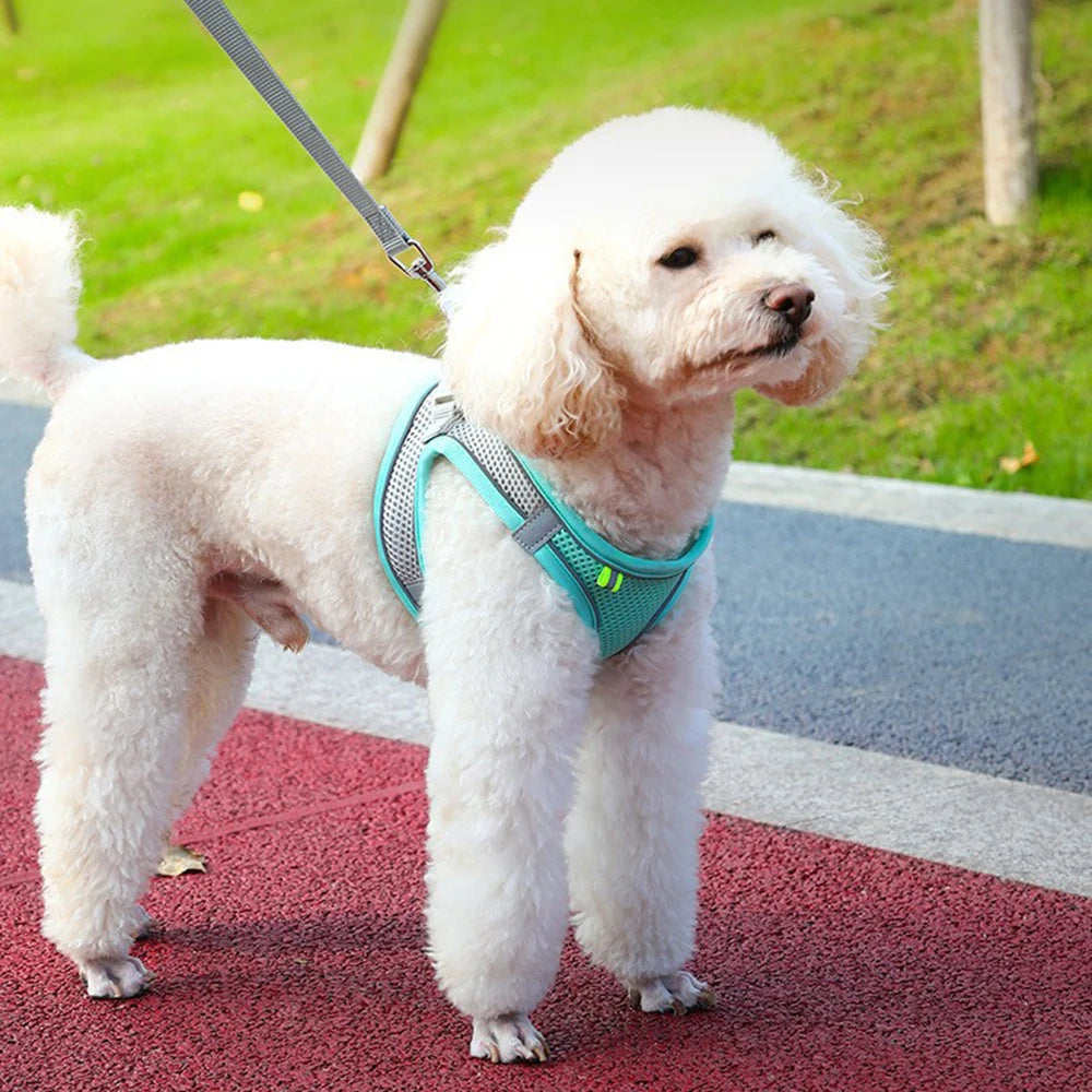 Reflective Mesh Pet Harness Set
