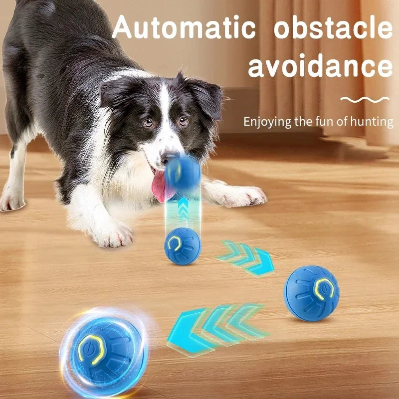 Interactive Automatic Dog Jump Ball