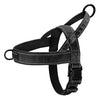 Adjustable Dog Harness