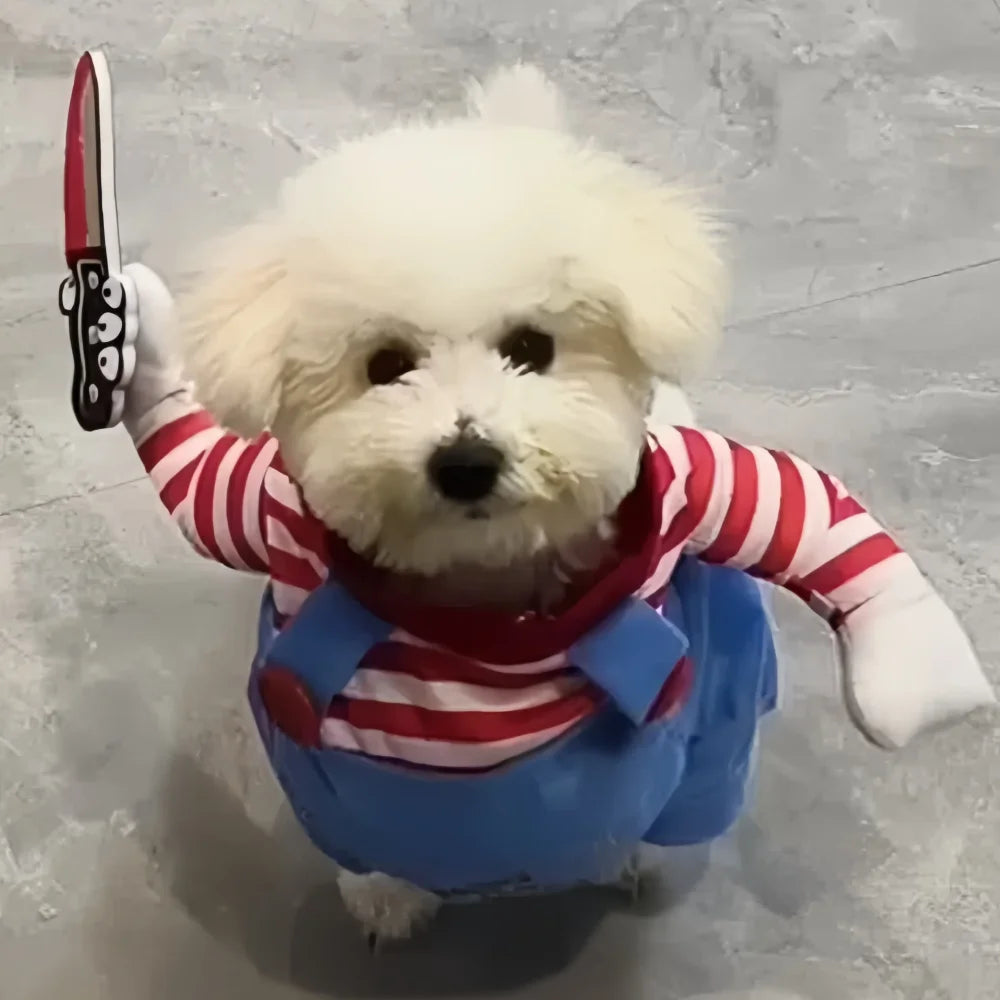 Funny Cotton Dog Costume