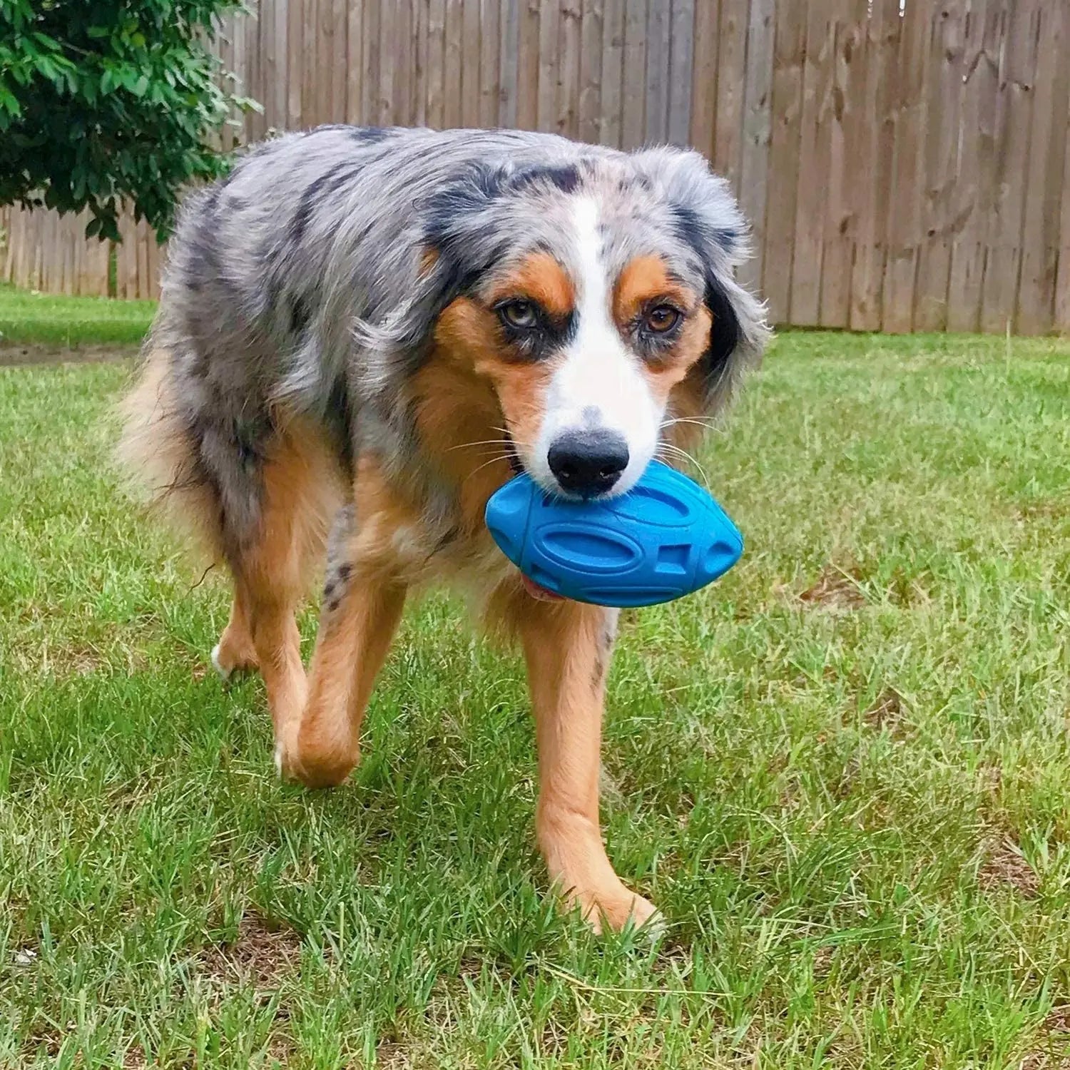 Durable Rubber Squeaky Dog Ball
