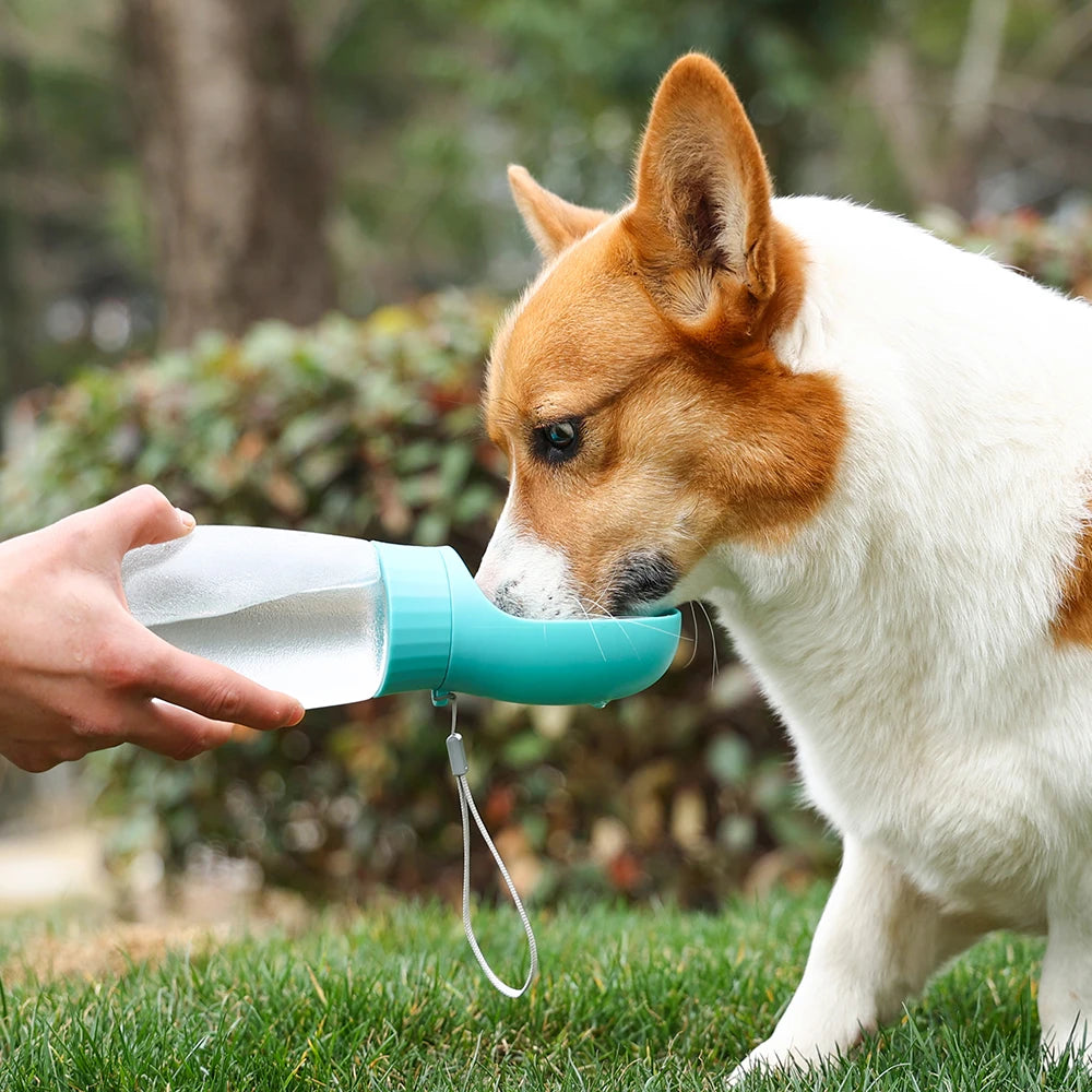 Portable Leak-Proof Dog Water Bottle